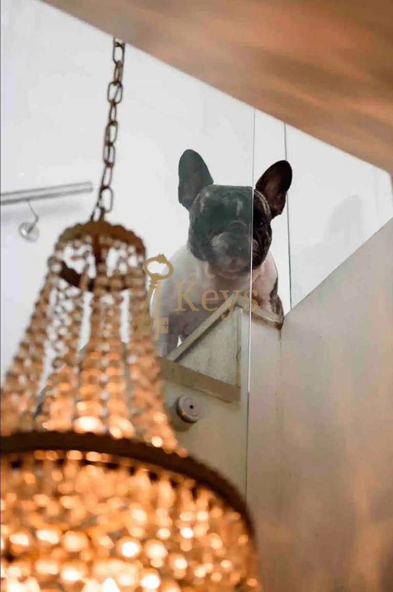 Piscina con vista - Habitación en ático dúplex